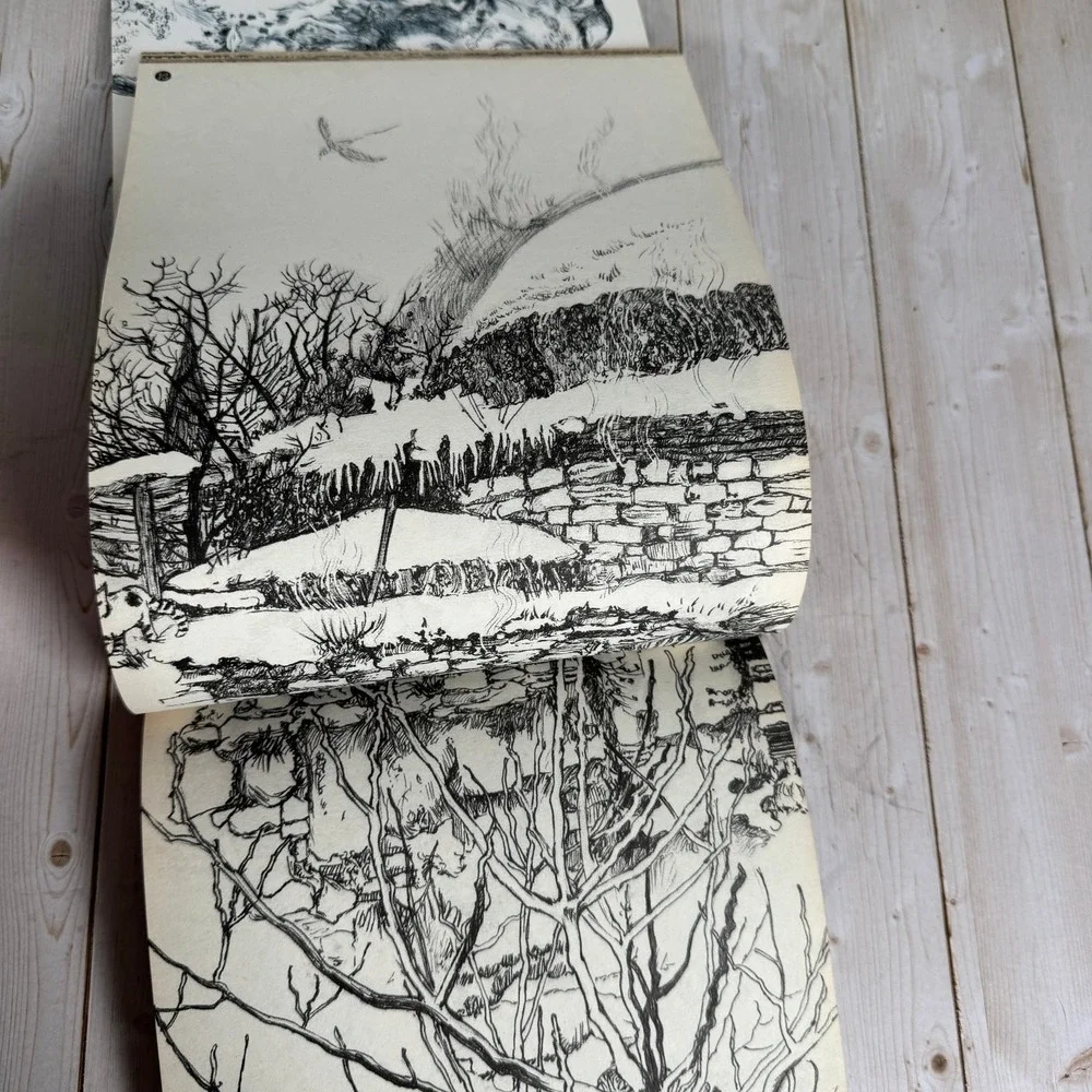 Drawing on Istanbul Trici Venola 2008 First Edition Art Sketch Travel